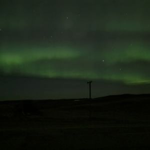 Meet your Posher, Caitlin